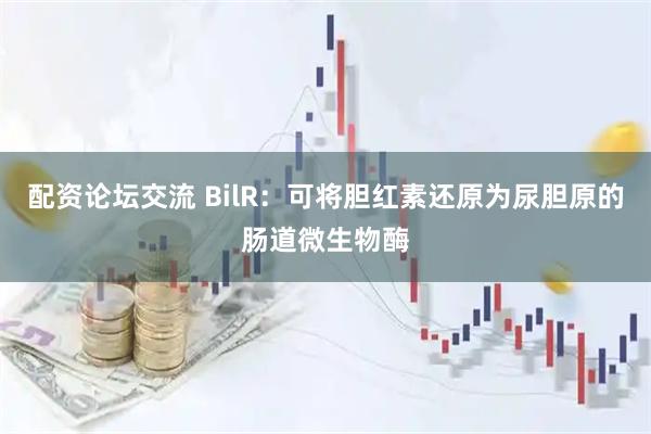 配资论坛交流 BilR：可将胆红素还原为尿胆原的肠道微生物酶