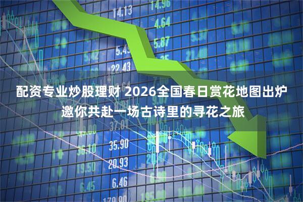配资专业炒股理财 2026全国春日赏花地图出炉 邀你共赴一场古诗里的寻花之旅